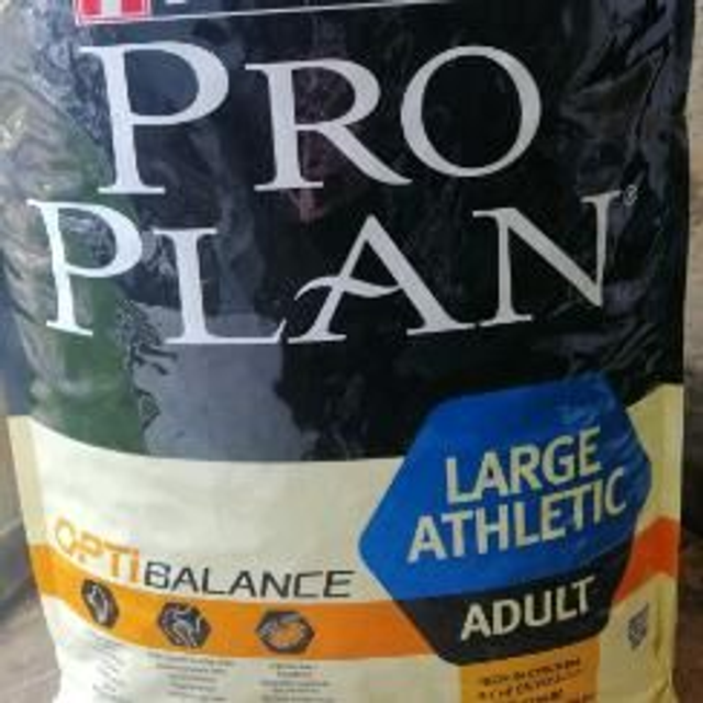 adult large 18kg athletic poulet