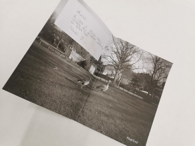 Enthusing Young Minds Zine Issue 1 - Free Reign