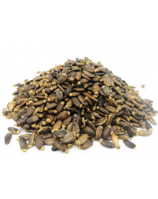 Chardon Marie graine - 100gr
