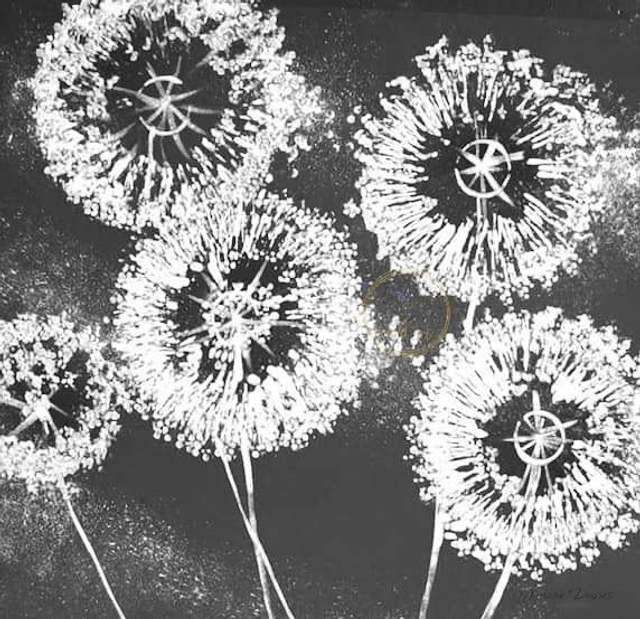 Monochrome Wishes