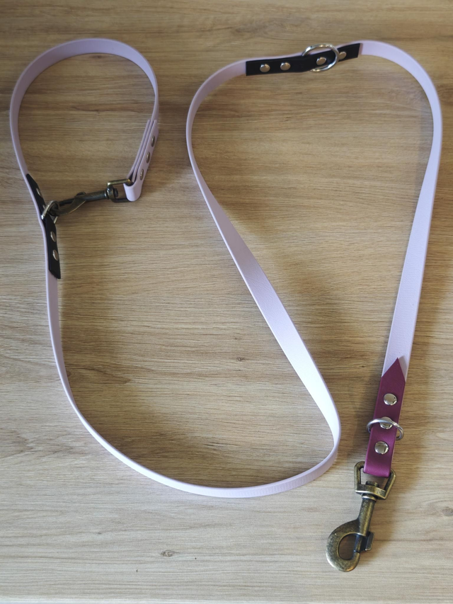 Laisse 19mm Multi position biothane