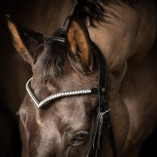 ProPresicce Signature V Diamante Browband