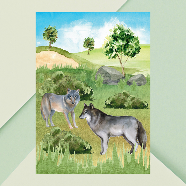 Impression de Loups Gris Jouant dans les Collines - Décoration Murale Nature / Playful Gray Wolves in the Hills Print - Nature Wall Decor