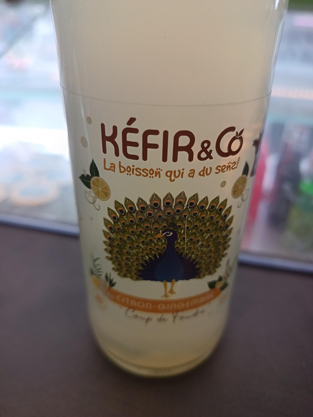 Kéfir bio citron gingembre 
