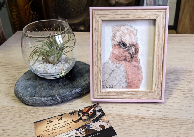 Cacatoès Rosalbin, illustration originale, encadrée