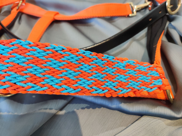 Stock: Headcollar - Full, Orange, Mo XXL