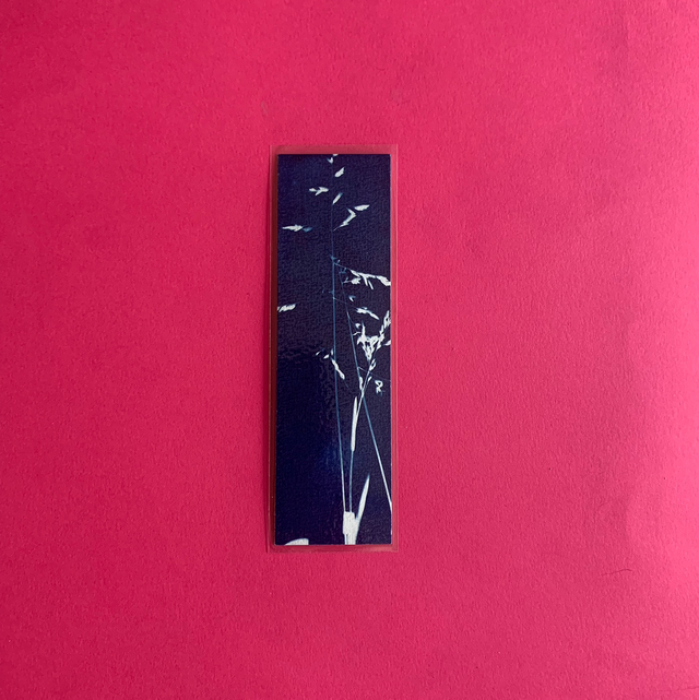 Marque page cyanotype végétal original sur papier épais et plastifié