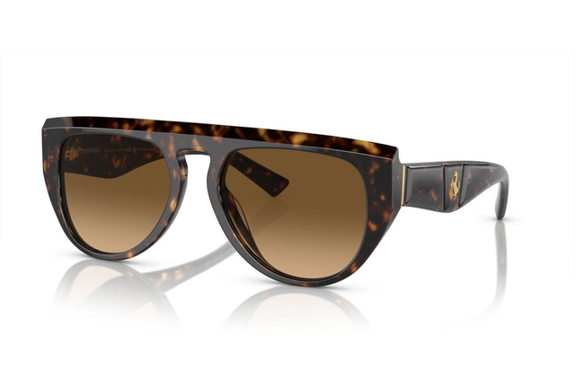 Eyewear Man Woman Ferrari  FH 2005U 702/M2