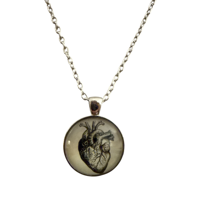 Collana cuore anatomico 25TM-9