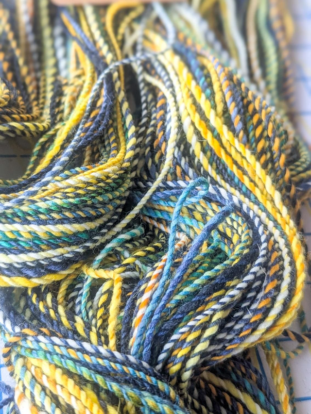 Mérinos d'Arles / planète terre