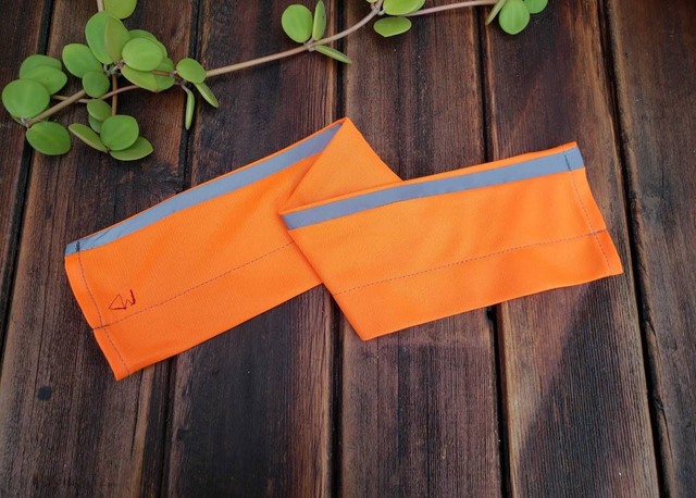 Collier anti-chasse oiseaux pour chat