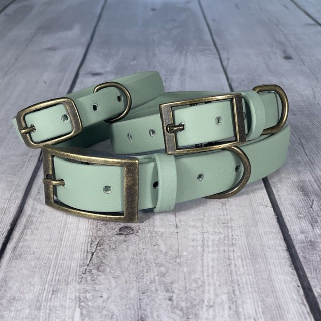 Sage Green Waterproof BioThane® Collar