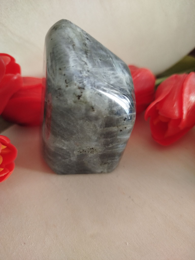 Labradorite violette  forme libre 