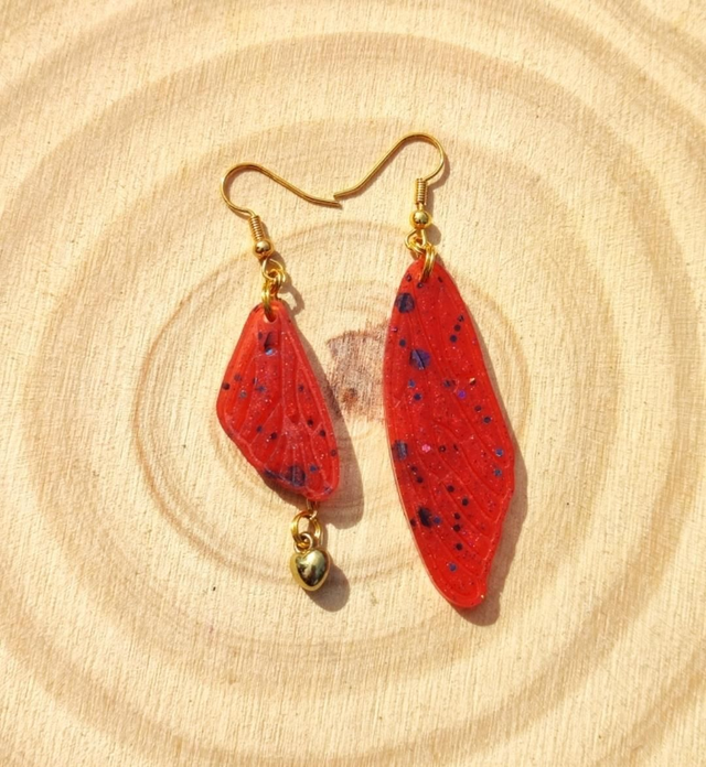 Boucles - Cigale Asymétrique