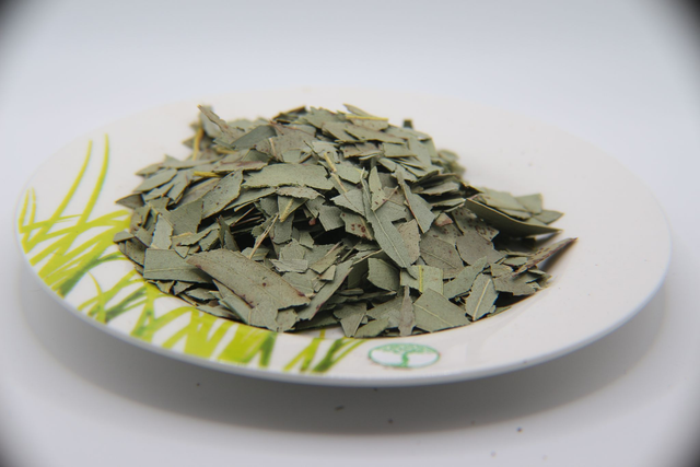Eucalyptus (eucalyptus globulus) sachet de feuilles coupées de 75g