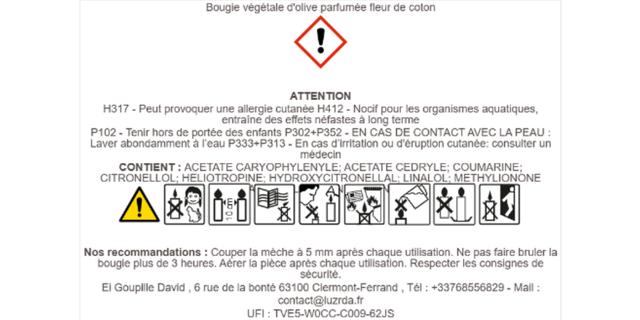 Bougie Déco - 60 grammes - "Fleur de coton"