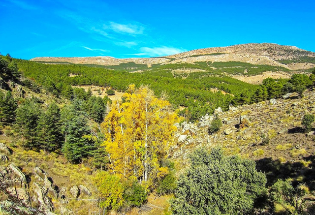 Granada - Sierra de Baza