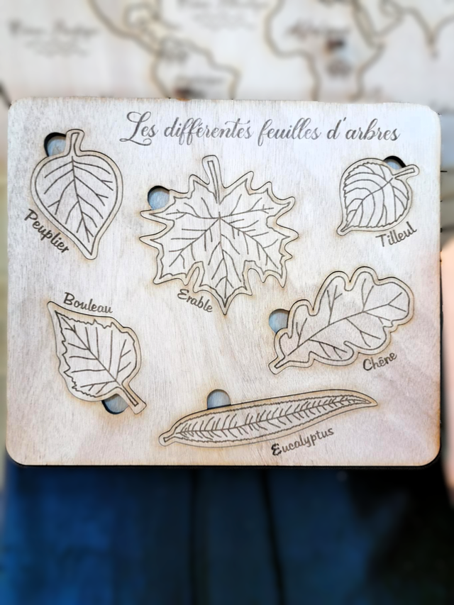 Puzzle des feuilles 