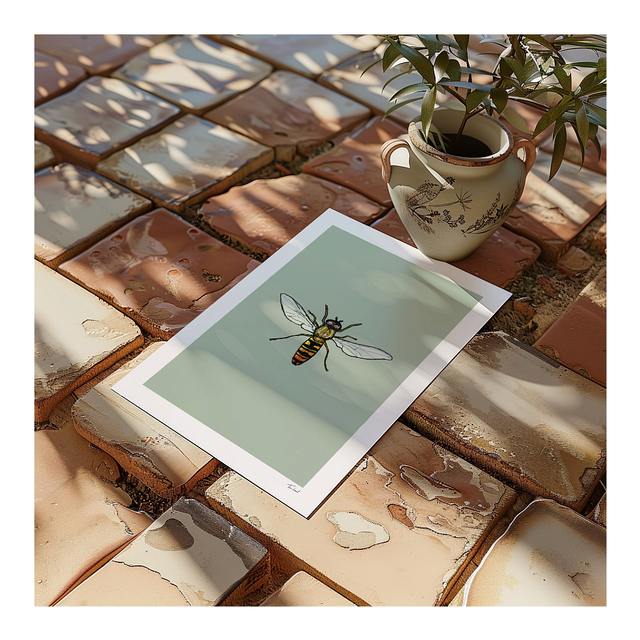 &#039;Marmalade Hoverfly&#039; art print