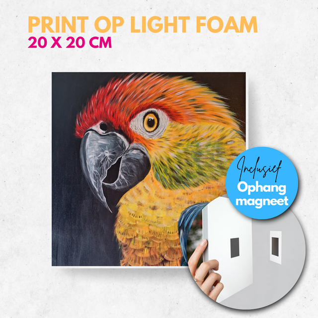 Papegaai | Light foam met magneet