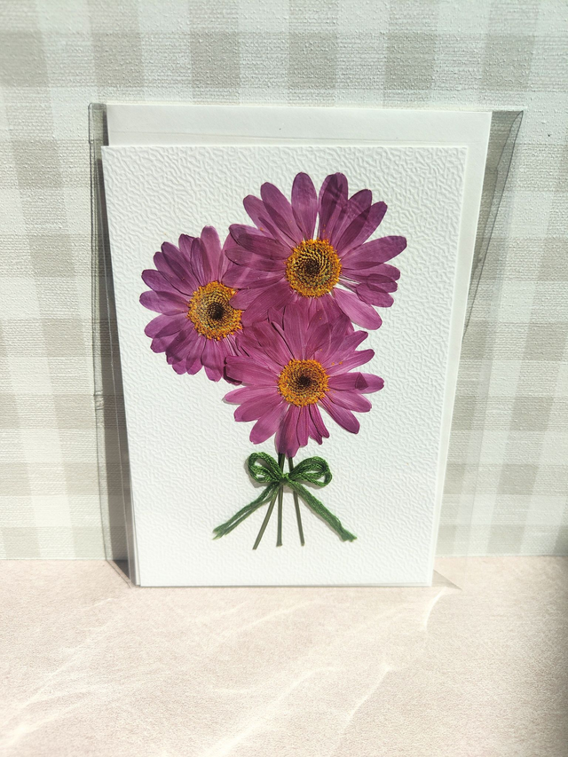 Carte marguerites roses en fleurs pressées 