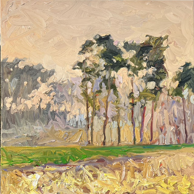 „Der Atem des Abends“ – Öl auf Leinwand, 80 × 80 cm | 2024
