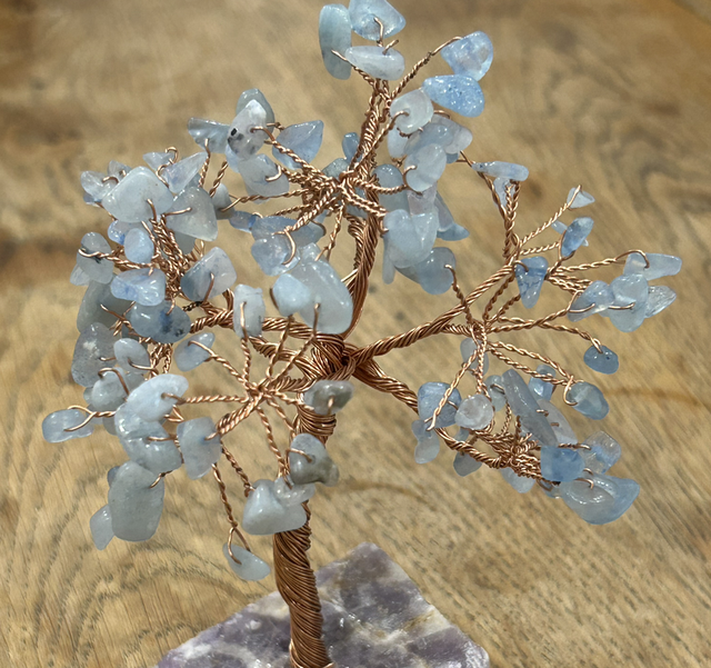 Arbre d aiguë marine 