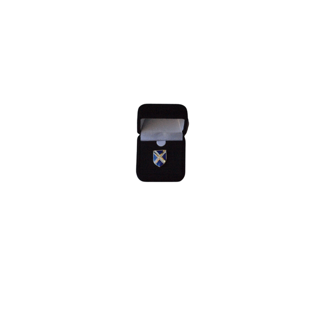 Wells Cathedral School Lapel Pin