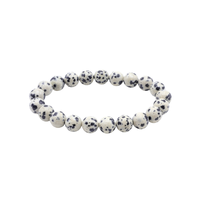 💙 Jaspe dalmatien – Bracelet élastique perles 8 mm – Origine Inde – Gisement du Rajasthan – Qualité A