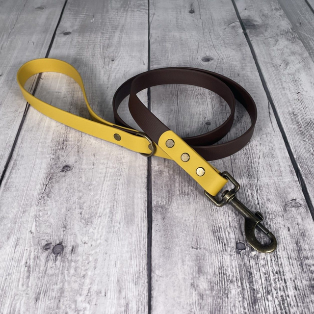 Custom Two-Tone Waterproof BioThane® Lead