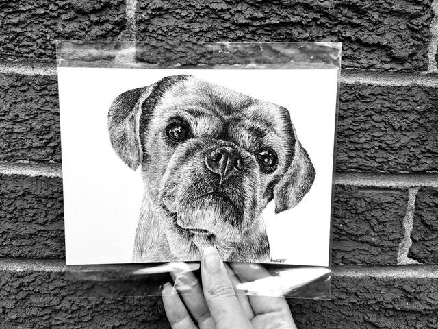 Pug Mini Print