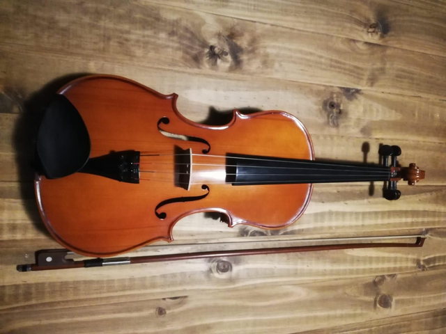 Viola Palatino 3/4 