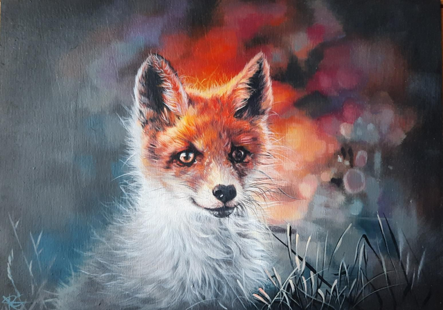 Fox In Training Prints