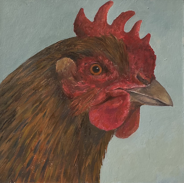 SP67  Warren by Shelagh Popham,  11x11cm  Oil