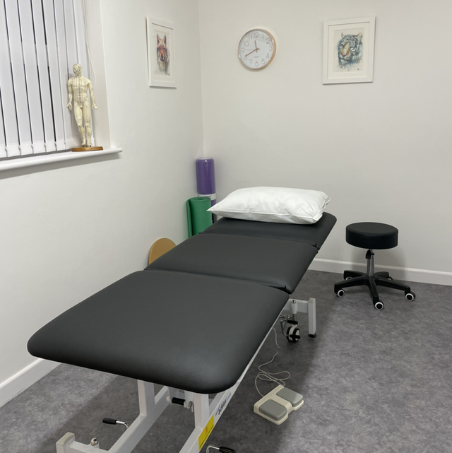 Physiotherapy 30 Minute Follow Up Appointment 