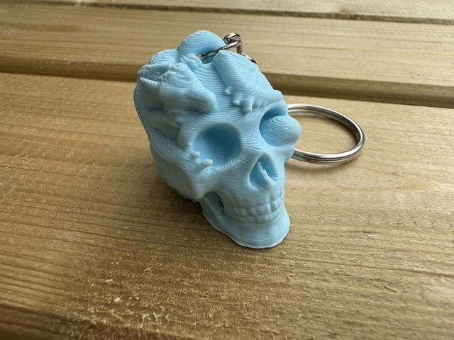 Skull & Dragon Keychain