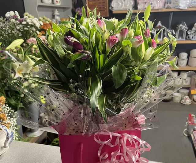 Astro and gyp aqua pack bouquet 