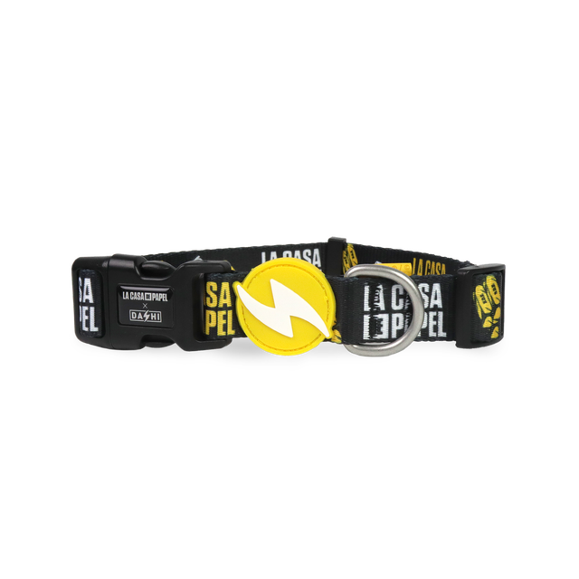 LCDP Golden collar