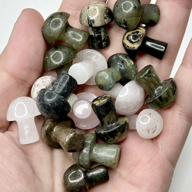 10 x mixed mini mushroom carvings 