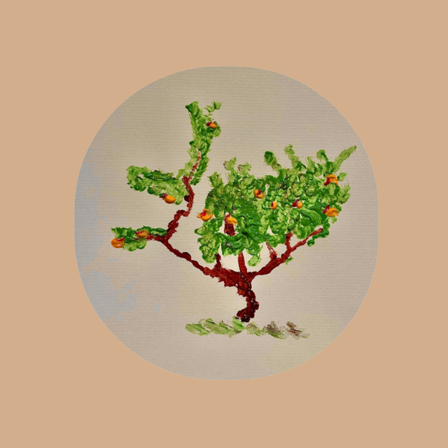 250g de Café COLOMBIE El Triangulo 