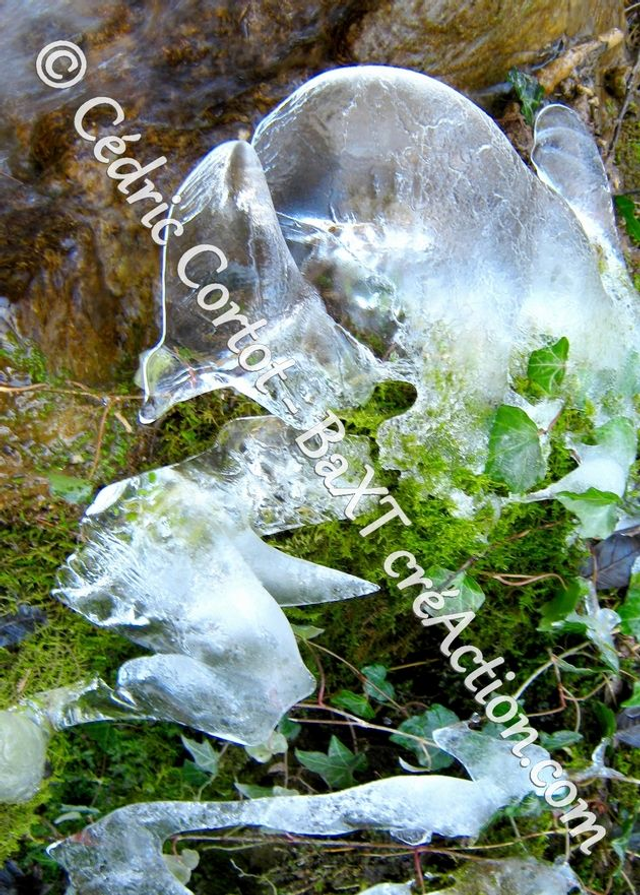 Carte postale - Paysages et divers (Ref IMG_9410)