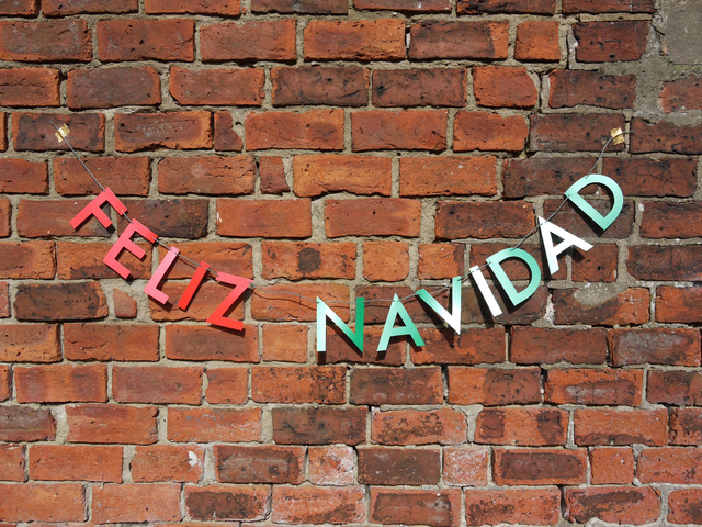 FELIZ NAVIDAD letter banner