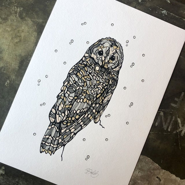 Hand-coloured owl print (2)