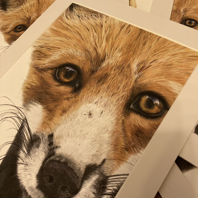 Fox Fine Art Print