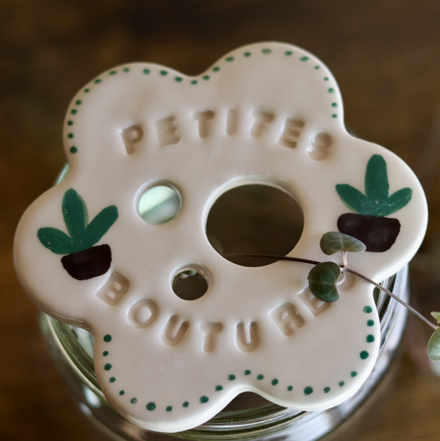 Disque de bouturage 🌱