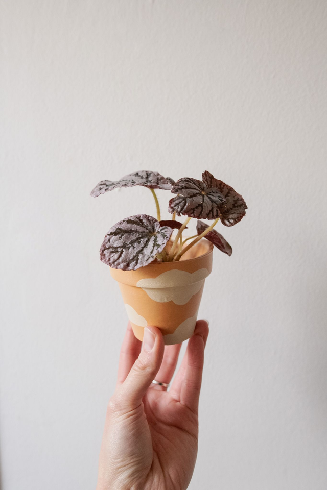 Pot handmade 'Vitamin Sky' 🧩 Mix & Match