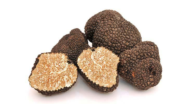 Tartufo Nero Estivo 