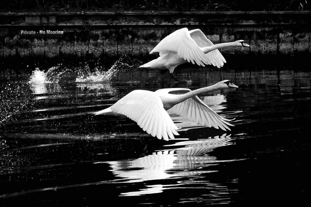 'Preparing to Launch' by William Lumby (A5 print - with mount that fits an A4 frame)