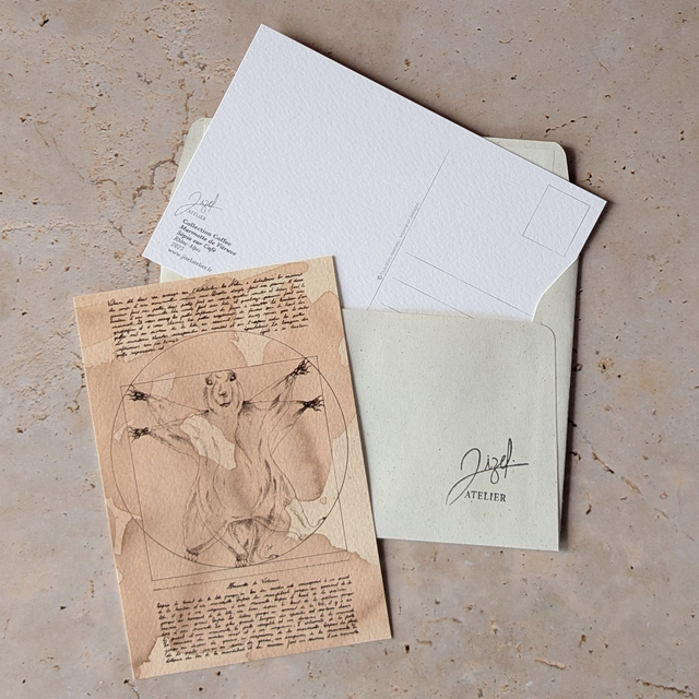 Carte postale - Café - Marmotte de Vitruve