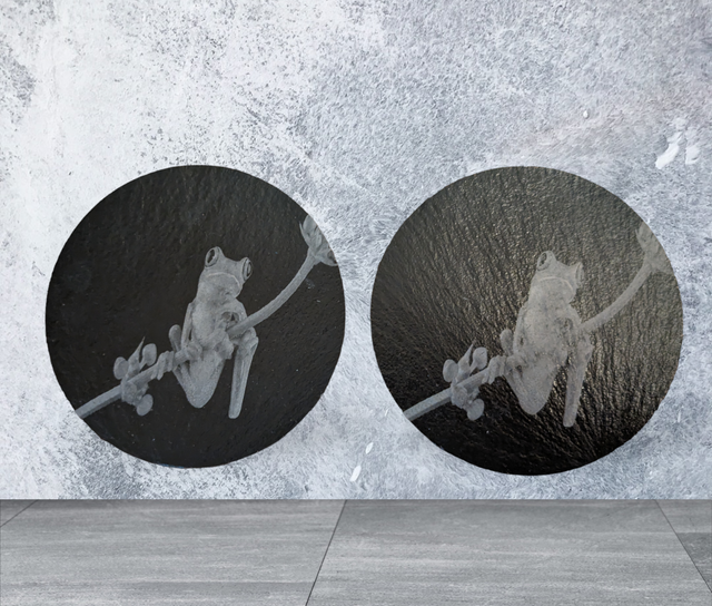 Slate Coaster Set of 2 - Round - Tree Frogs